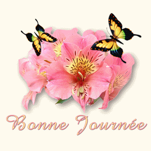 Gif animé bonne journée 2 papillons